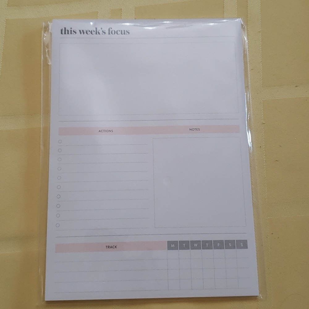 Erin Condren Weekly Focus notepad